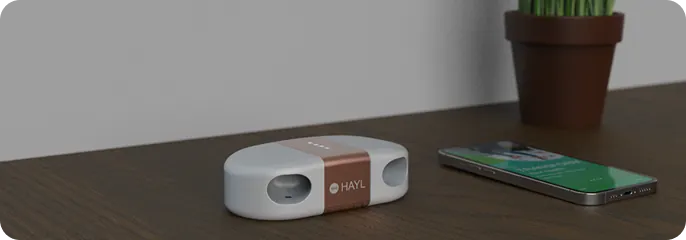 Hayl Product Image 3