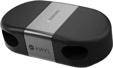 Hayl Product