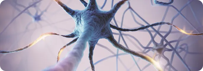 NerveVue Product Image 2