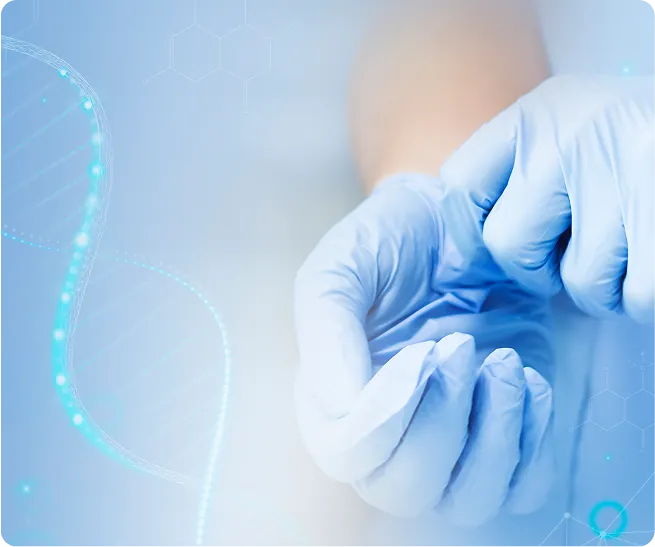 Vascular Care Image 2